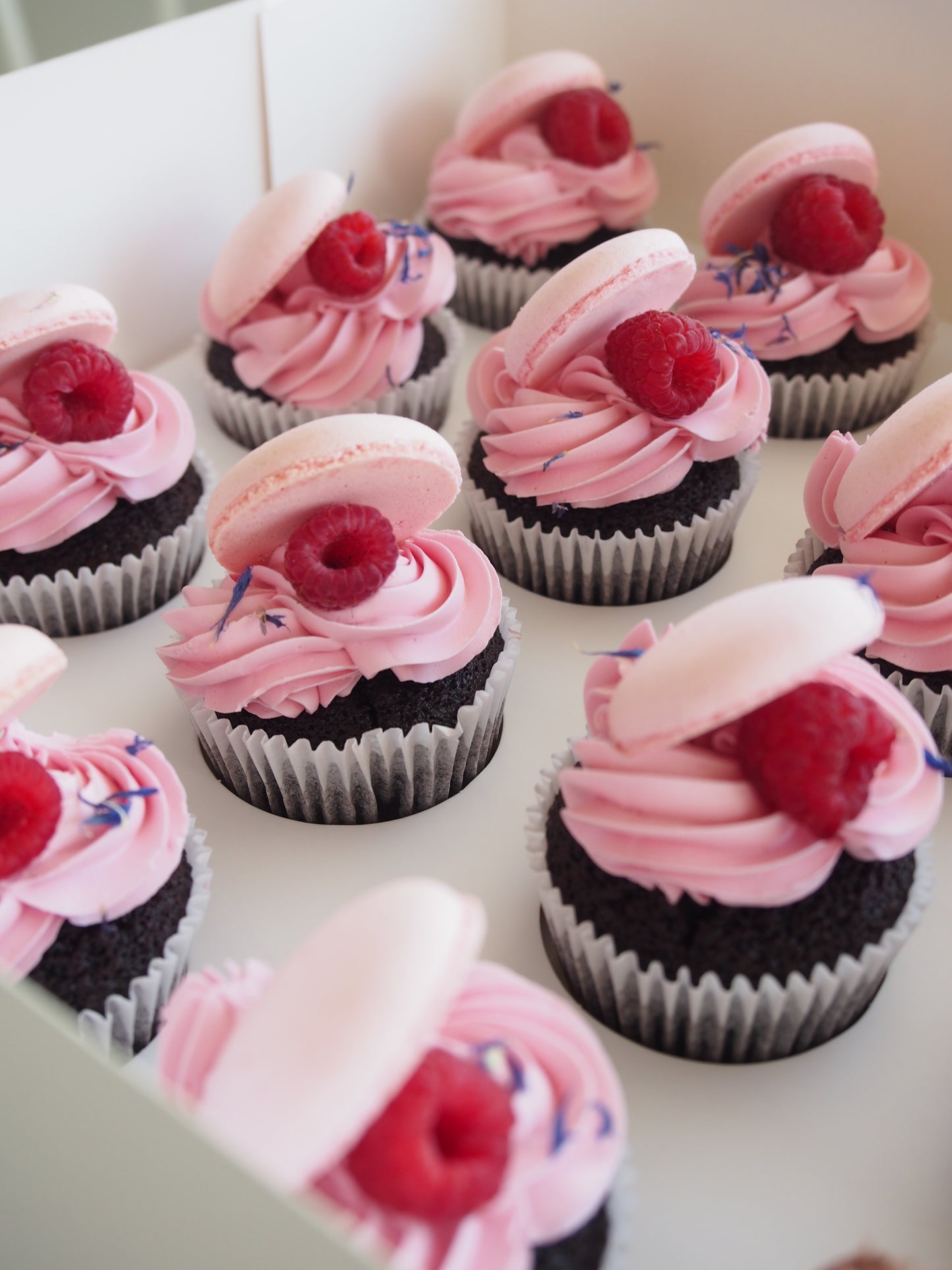 Cafe Cupcake Chocolate Raspberry