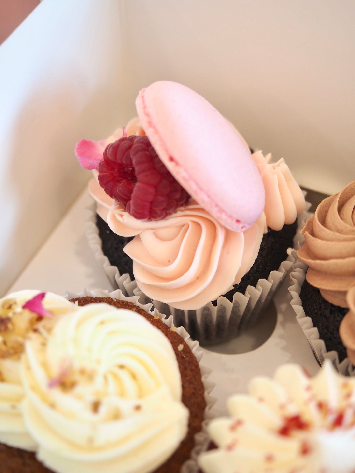 Mixed Cupcake Pack - Cafe Favourites