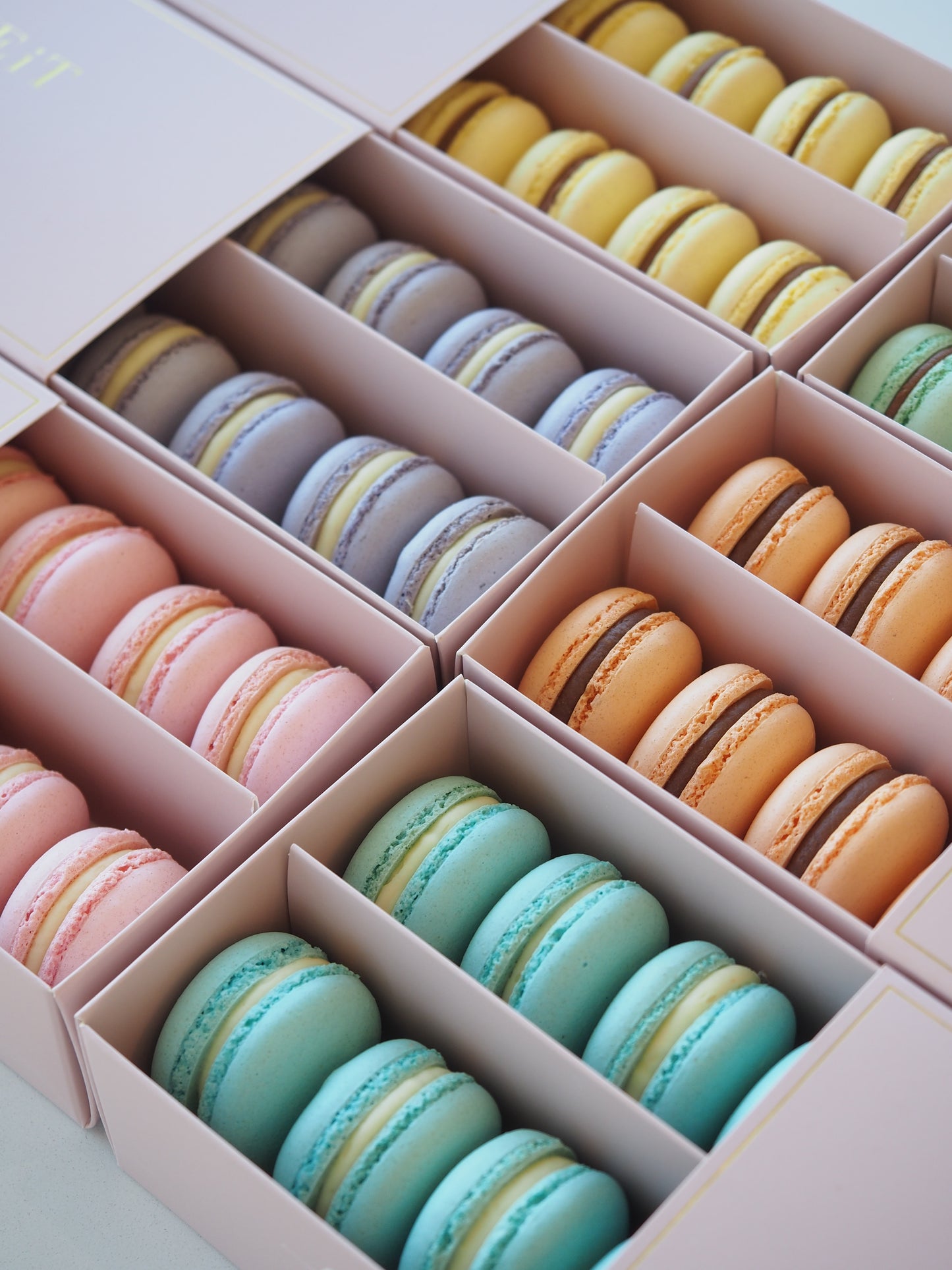 Macaron Packs