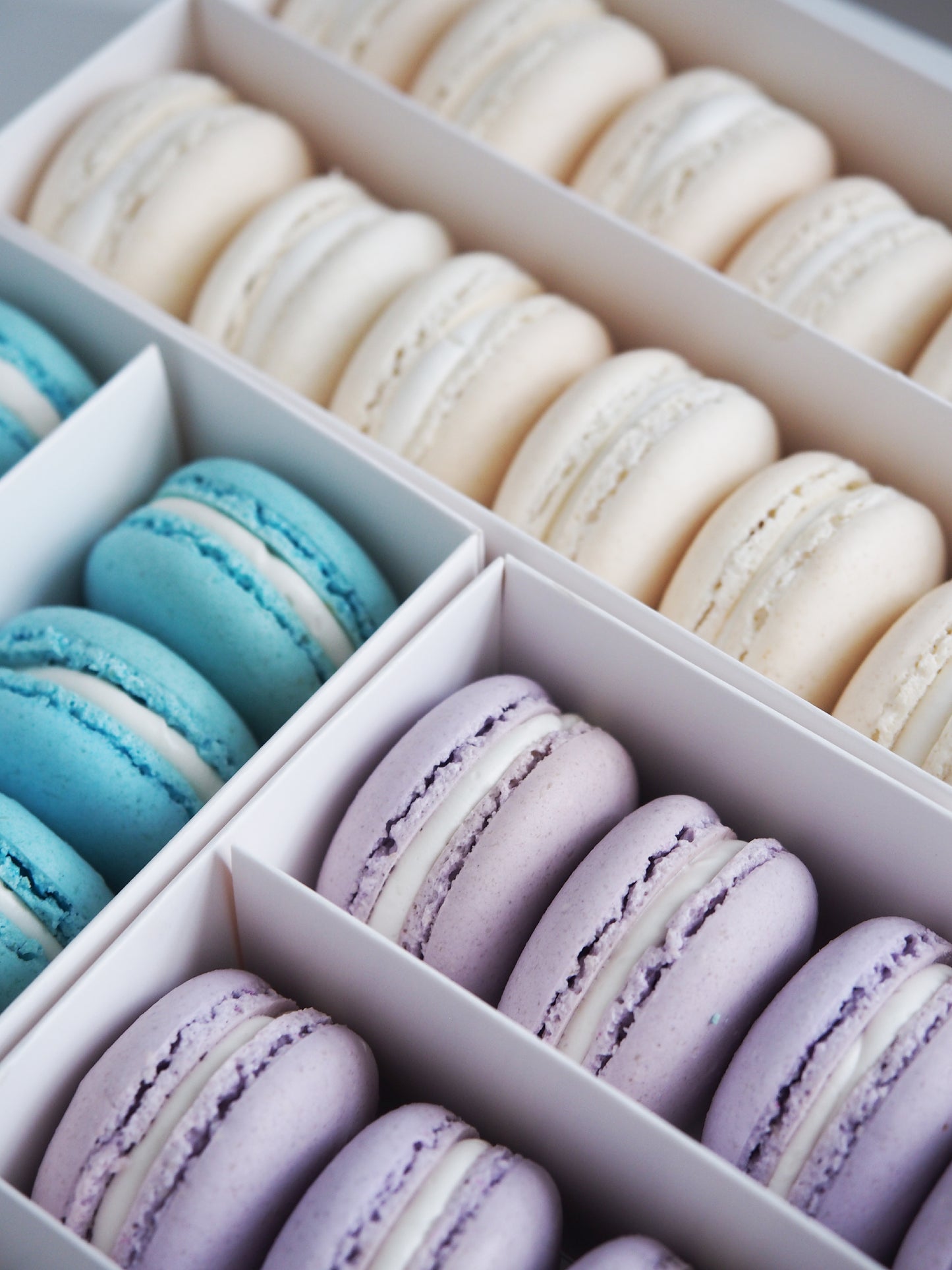 12 Macaron pack