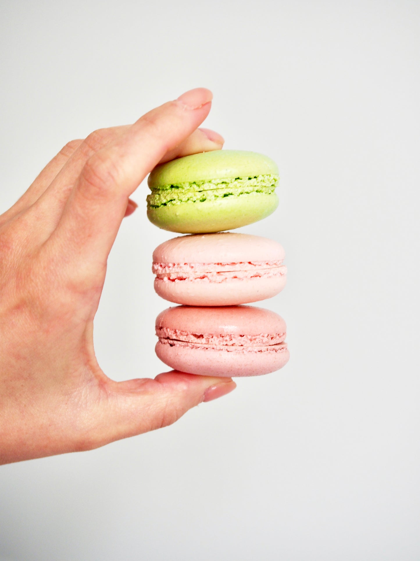 Macaron Packs